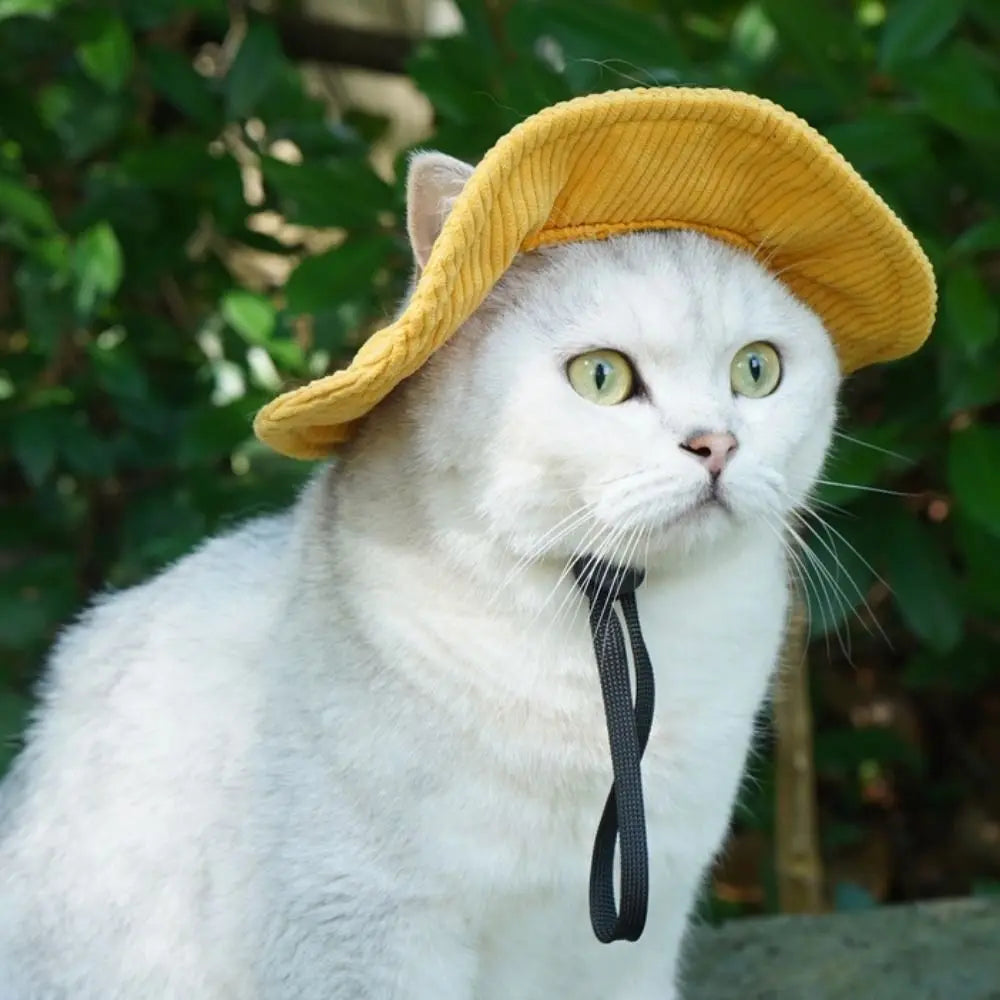 Adjustable Dog Fisherman Hat